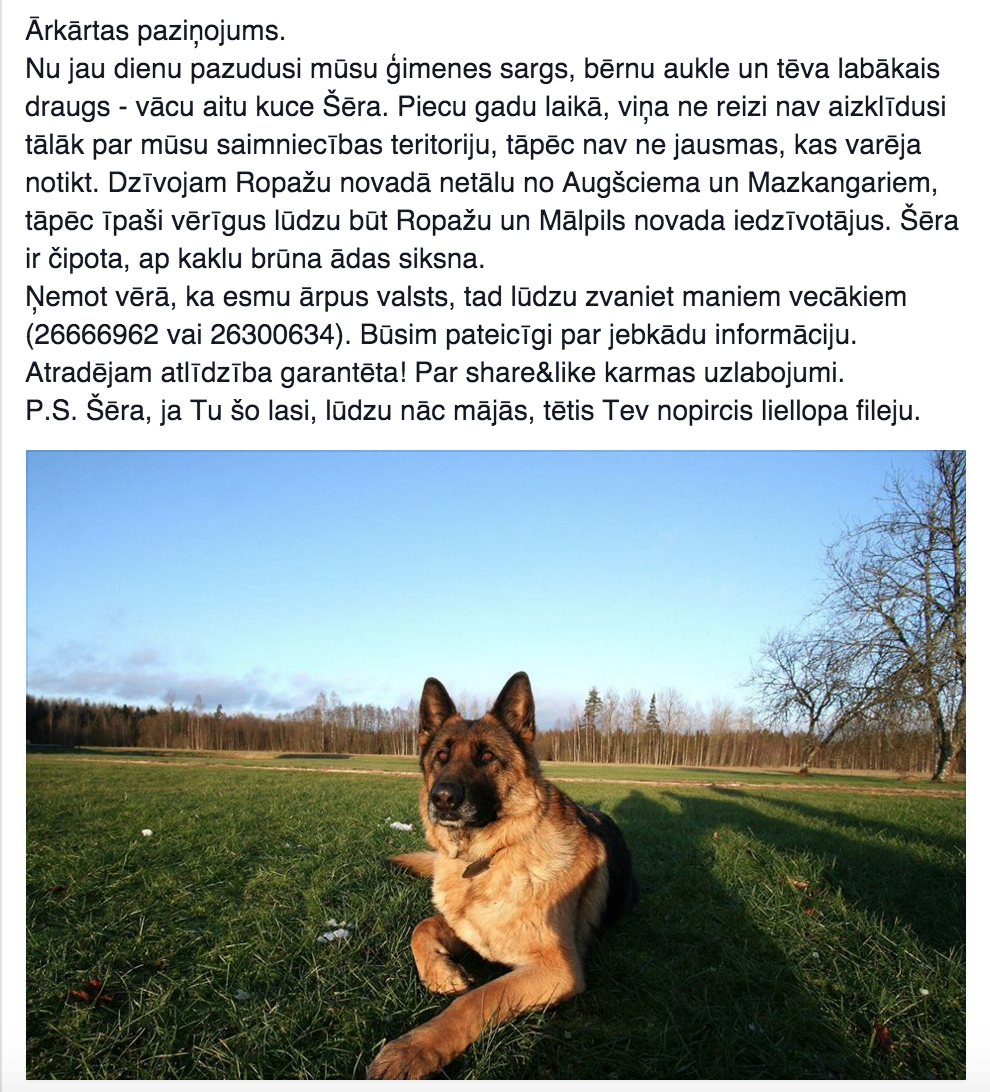 Gints Knoks tweet media