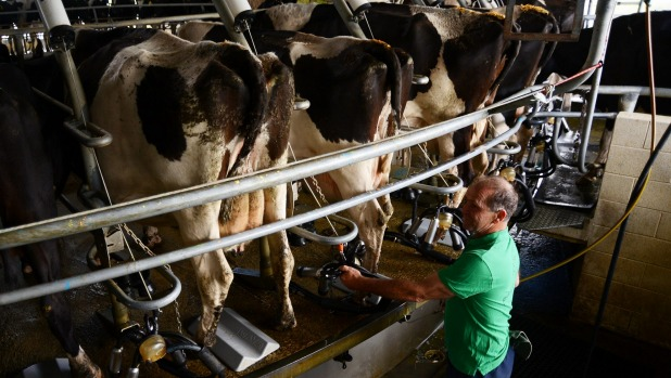 GreenpeaceNZ's tweet photo. Rachel Stewart asks some important questions about NZ dairy https://t.co/m9dRHKe2VH https://t.co/nTR43X7wSO