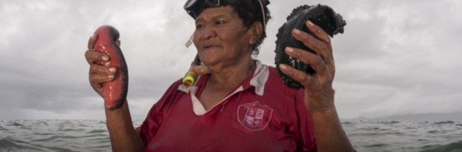 Mission Blue tweet media