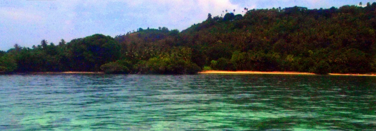 Mission Blue tweet media