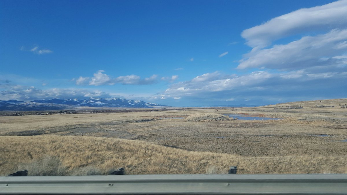 DrBart_Beef's tweet photo. Thanks @LMSurber and Mike Wilson, WestFeeds - Deer Lodge MT workshop #forages #grazingcorn #nutrientcapture https://t.co/iF272W4Ipg
