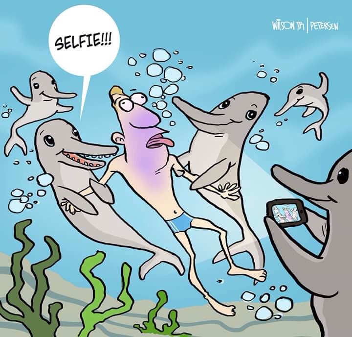 HayQueSaberlo's tweet photo. Bañistas sacaron a un delfín bebé del agua para tomarse "selfies" hasta dejarlo morir. Imagen: en un mundo paralelo. https://t.co/ULoJrfyXMJ