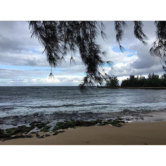 AlohaCrate's tweet photo. Happy #surfingsunday! Even with the overcast and rain.... 📸 courtesy of @sandyelrayes https://t.co/awmKp2bLml