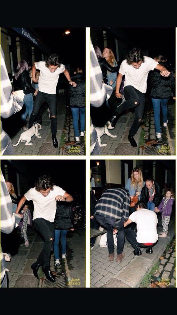 iibelongtoharry tweet picture