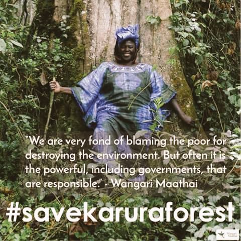 IvarsityLaw's tweet photo. What causes rot in society? #savekaruraforest #ivarsitylaw  #leadership and #integrity https://t.co/nqWfAxBjAX