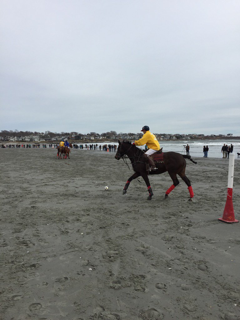 TidePoole's tweet image. Beach Polo Newport winter fest #Newport #polo #mytaskit