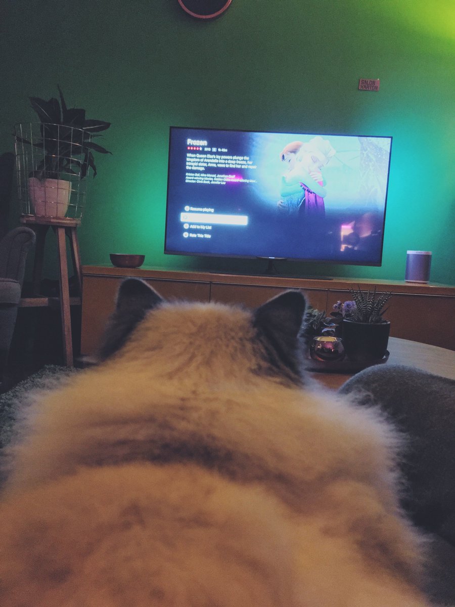 krisvandesande's tweet photo. #LetsWatchFrozen with #SacredLuna  😁 #showyourears https://t.co/J37E5CwiaX