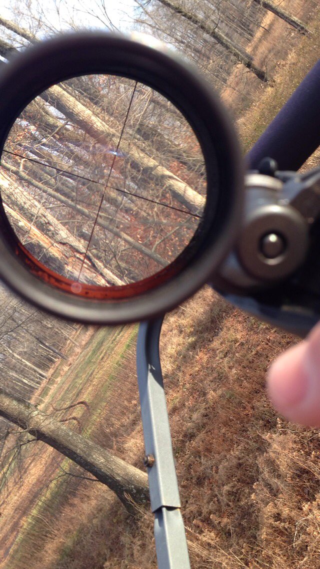 wings_outd's tweet image. Missin the deer stand