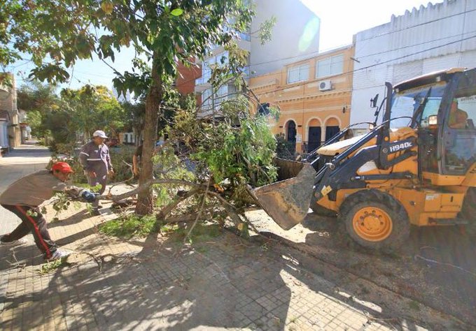 Ver imagen en Twitter