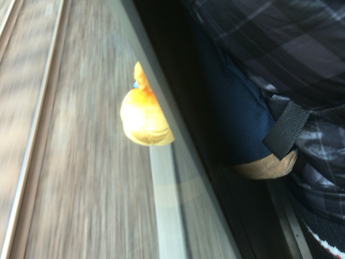 hsmt763's tweet photo. 電車のドアにリュックに付けてたかぼちゃミッキー挟まったww https://t.co/c7EDBMTfu3