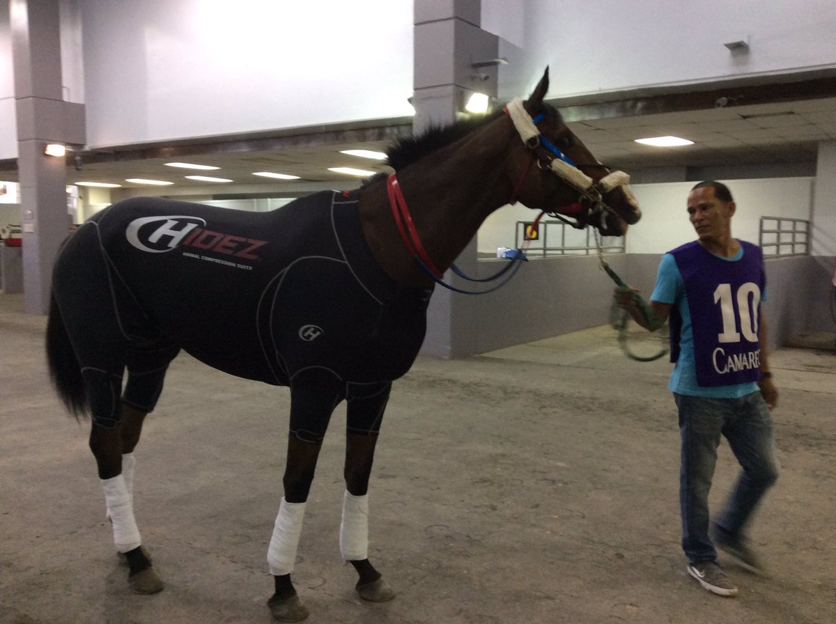 camareropr's tweet photo. Traje de comprensión... Algo nuevo que se ve aquí en el #HipódromoCamarero https://t.co/iKiJjiupBd