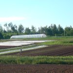 Photo by FarmStart (@FarmStart)
