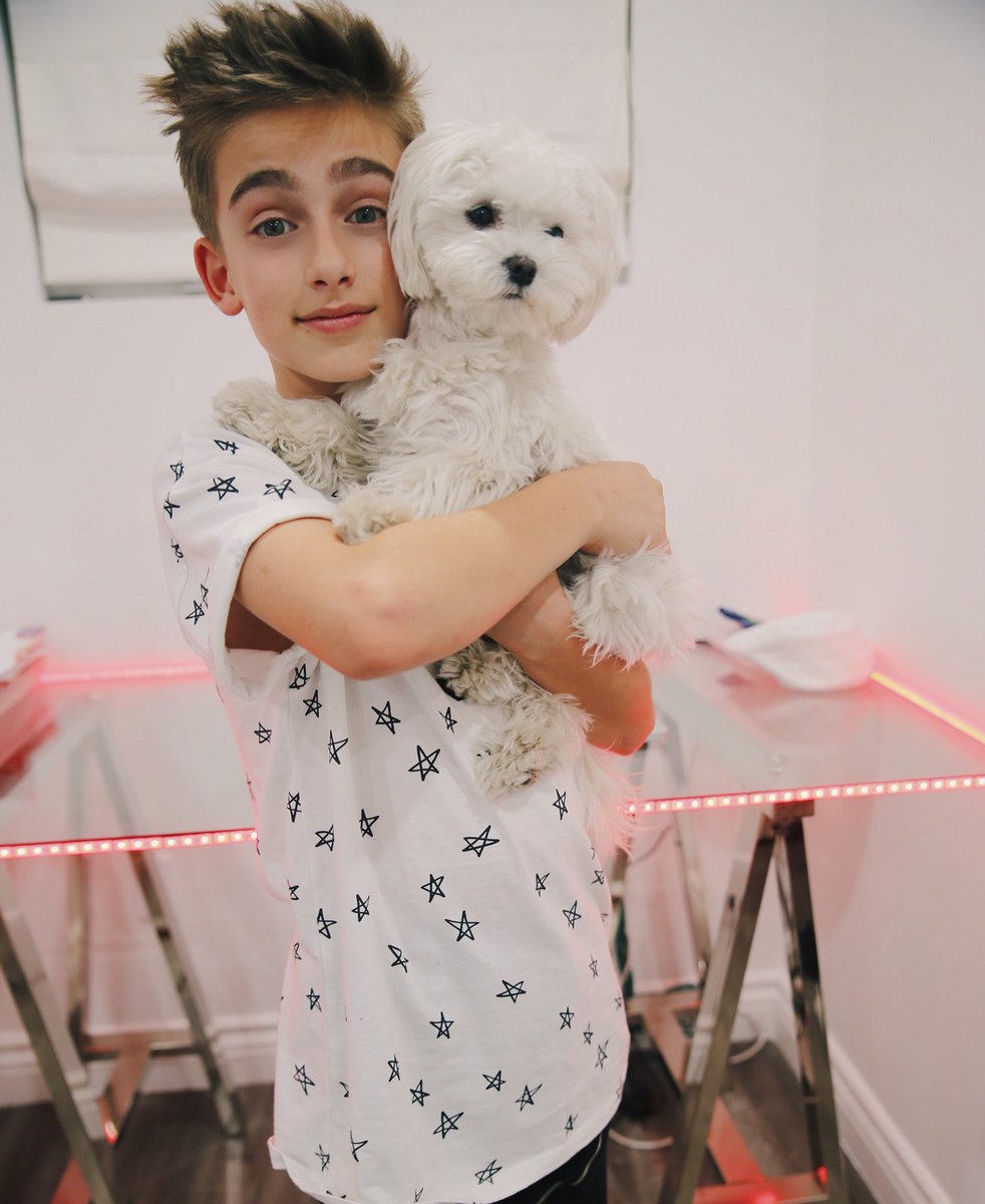 johnnyorlando's tweet photo. Have you guys seen my new @musicallyapp? Who thinks I should do more with Bentley?🐶❤️ #PuppyLove https://t.co/CtkZYDHkMy