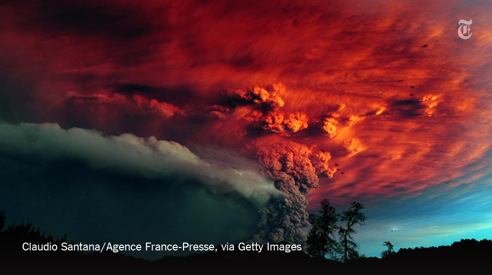 nytimes tweet picture