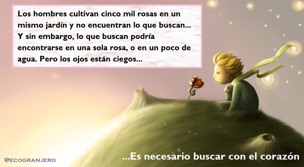 Ecogranjero's tweet photo. "Solo con el corazón se puede ver bien, lo esencial es invisible a los ojos" - El Principito https://t.co/hQFTaktphe