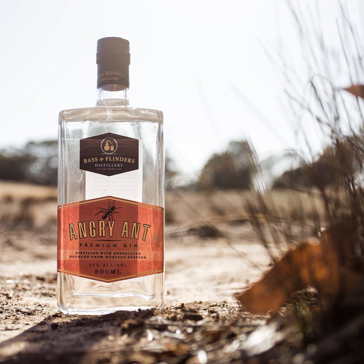 Bass&Flinders tweet media