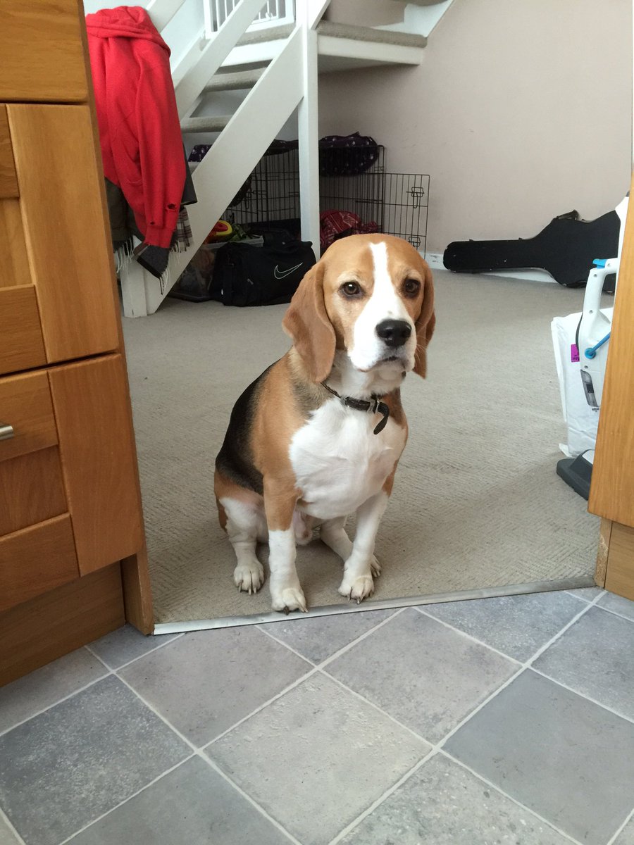 Lee adlam tweet media