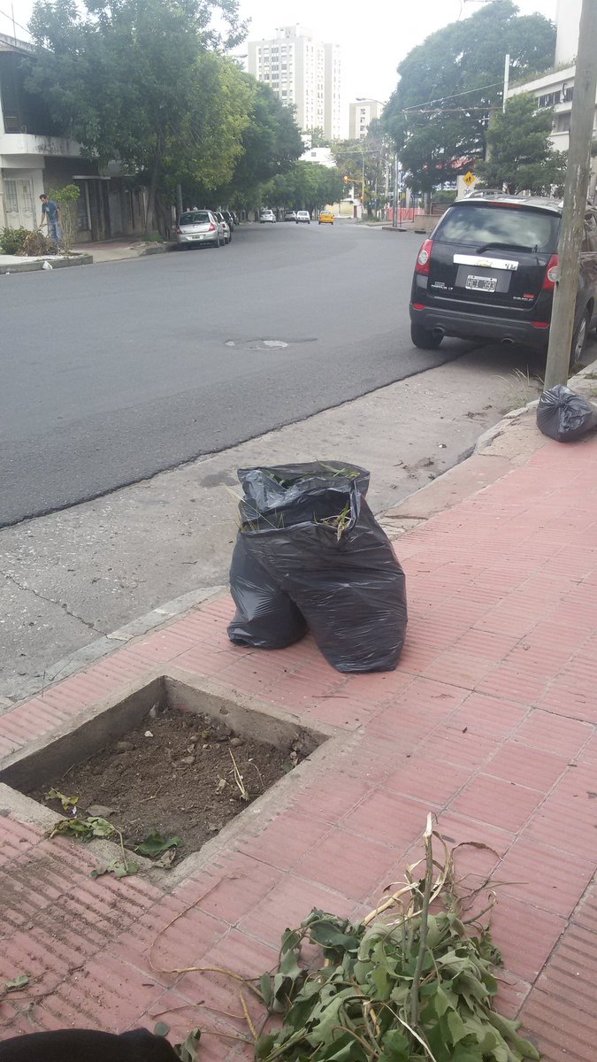 Muchoflowmucho's tweet photo. Limpiamos la vereda y necesitamos saber que arbol podemos plantar @MuniCba @ramonjmestre https://t.co/IbZPtj5rA5