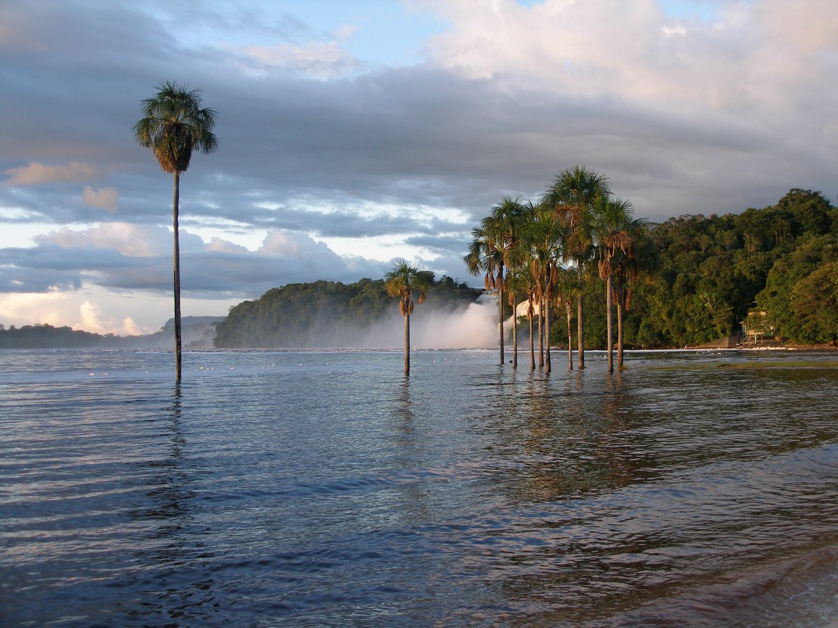 EventosUCV's tweet photo. El parque Nacional Canaima un regalo de la naturaleza para todos los venezolanos https://t.co/dPaZBSG2kQ