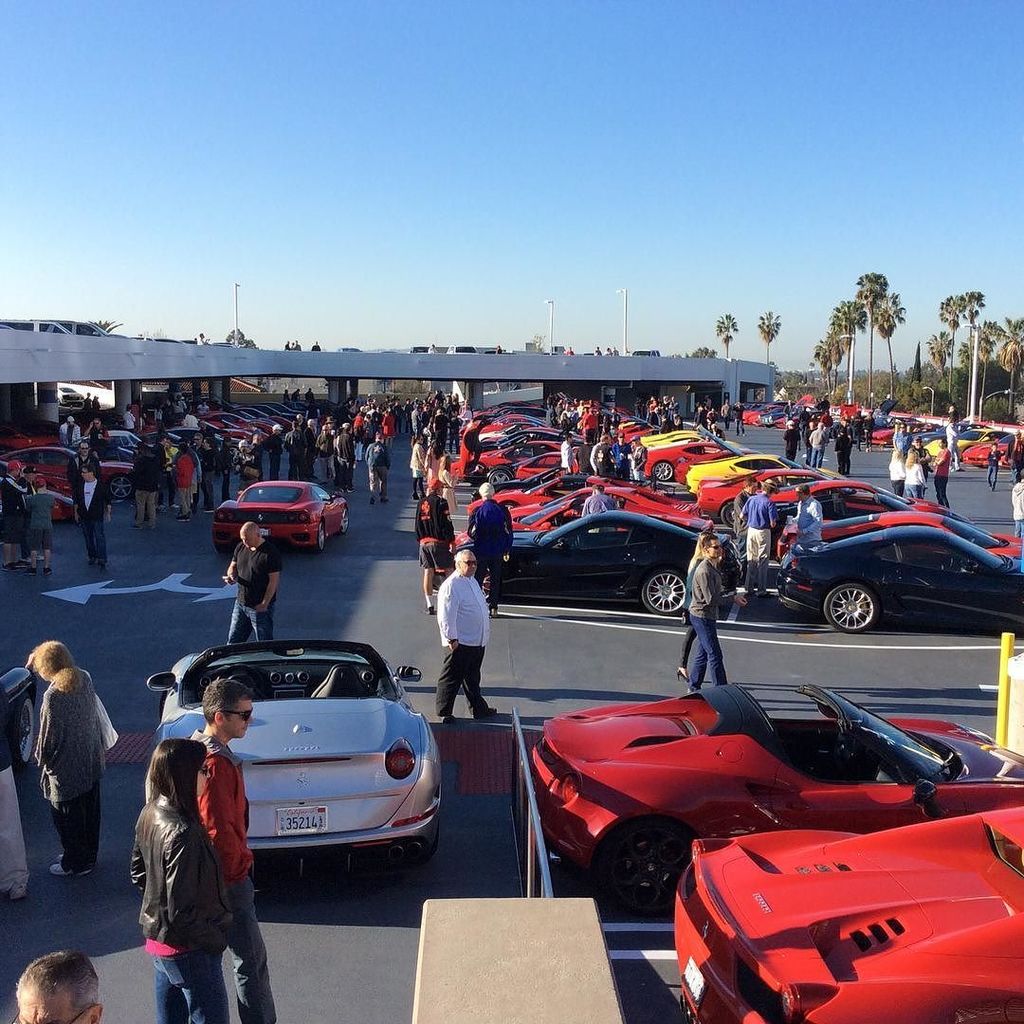 OnlyFerrariPics's tweet image. 300 ferraris salute for Enzo#ferrarilife #ferrari #fchat #petersonmuseum #f430 by j___tra