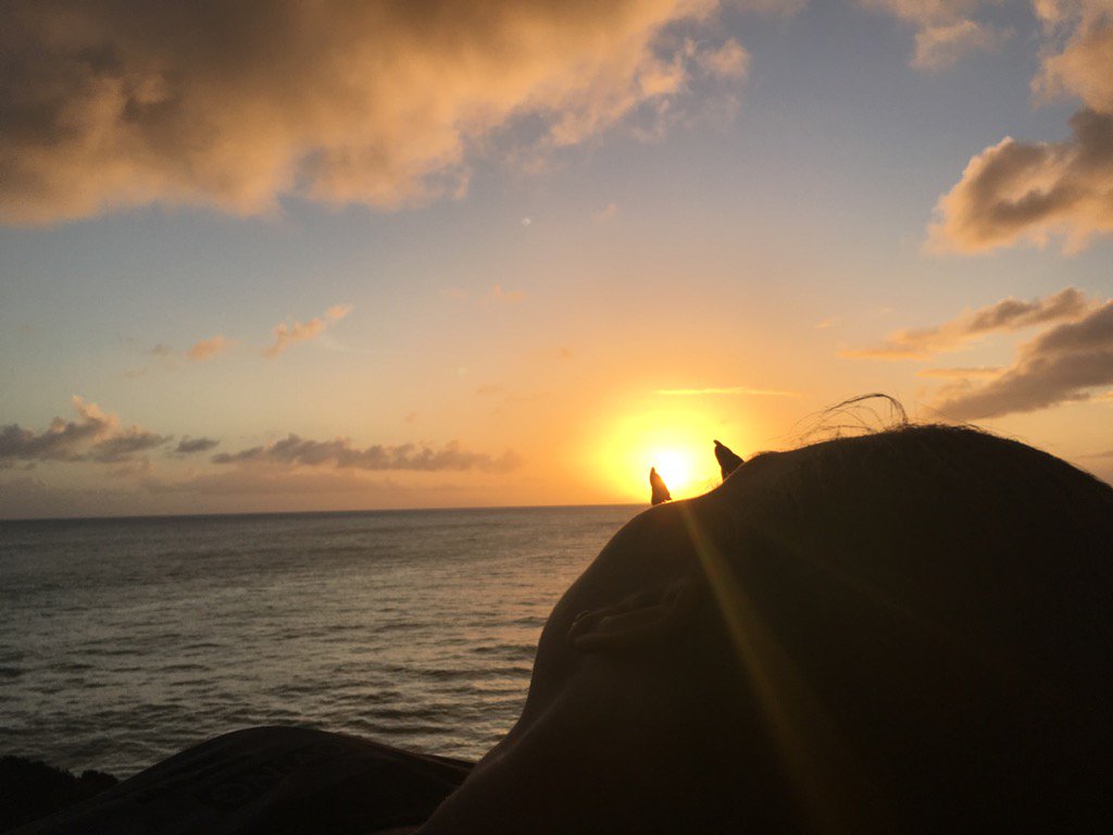 MissGlitzSy's tweet photo. Caught a glimpse of the sunset 😍😍.. #ilivewhereyouvacation #baechronicles #sundayfunday #barbados https://t.co/VZeYw6cTmV