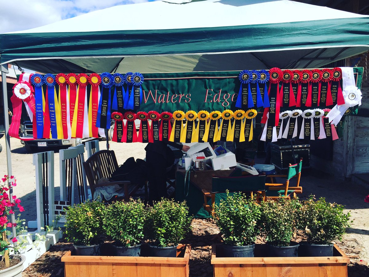 teamwatersedge's tweet image. Such a great weekend at the Venice Equestrian Tour Week IV at Fox Lea Farm!!