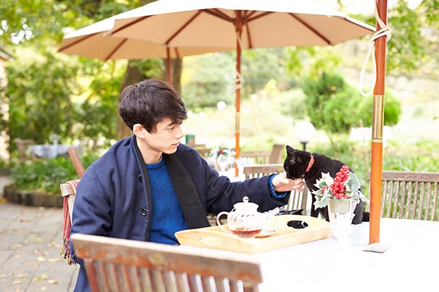 た ろ Twitterissa 今日は猫の日 ということで 猫 坂口健太郎 激選 猫の日 坂口健太郎 T Co Qwetdaucbn た ろ Twitterissa 今日は猫の日 ということで 猫 坂口健太郎 激選 猫の日 坂口健太郎 T Co Qwetdaucbn