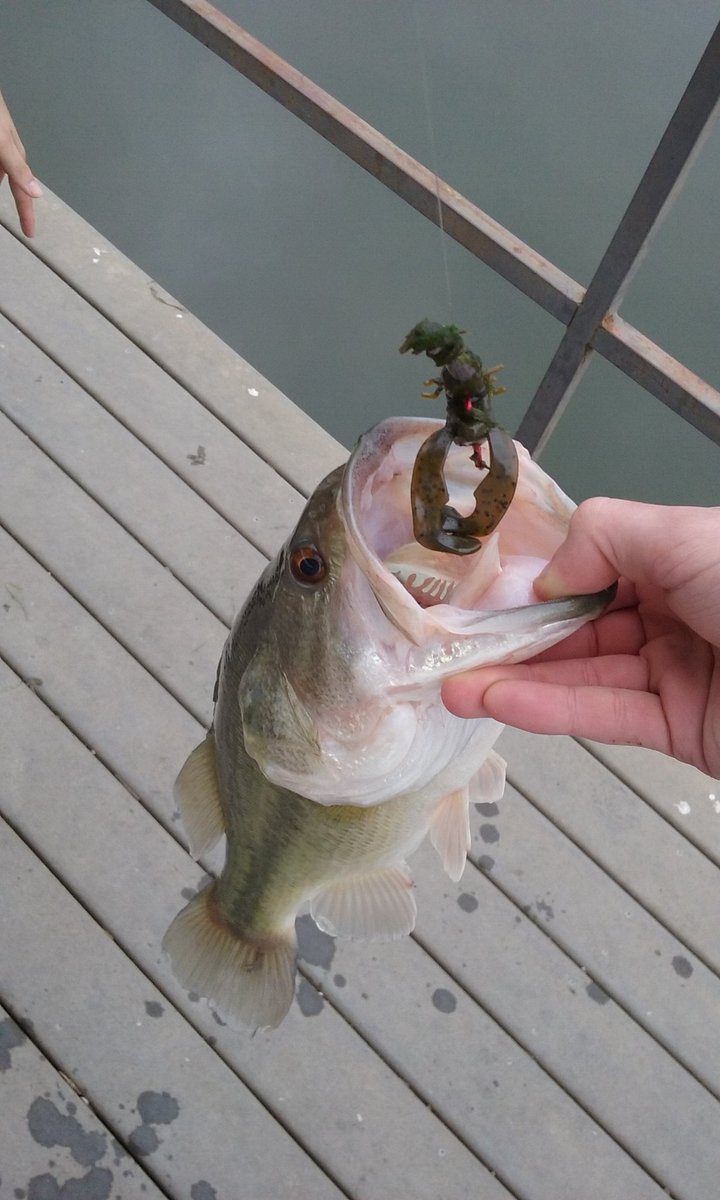 GrahamMcanally's tweet photo. Nice weather for fishing https://t.co/fSdQows1IX