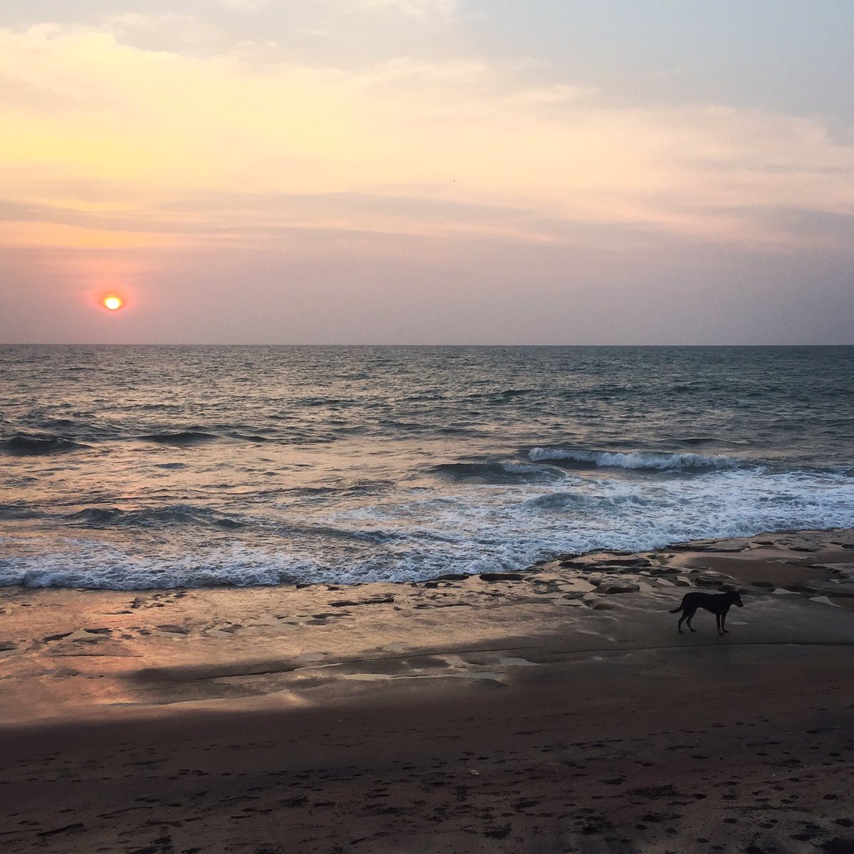 danielhowell's tweet image. goodbye sri lanka your country is beautiful and inspiring wifi was pretty shit tho ngl 👋✈️ instagram.com/p/BCEMfBvpgPF/