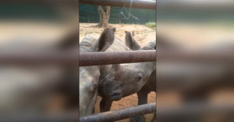 Fitness Motivation tweet media