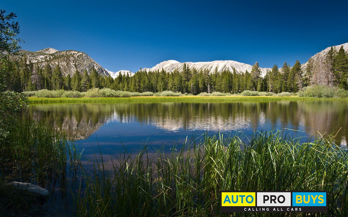 AutoProBuys's tweet photo. Today is a beautiful day to sell your car! https://t.co/w4xkDhf1GF