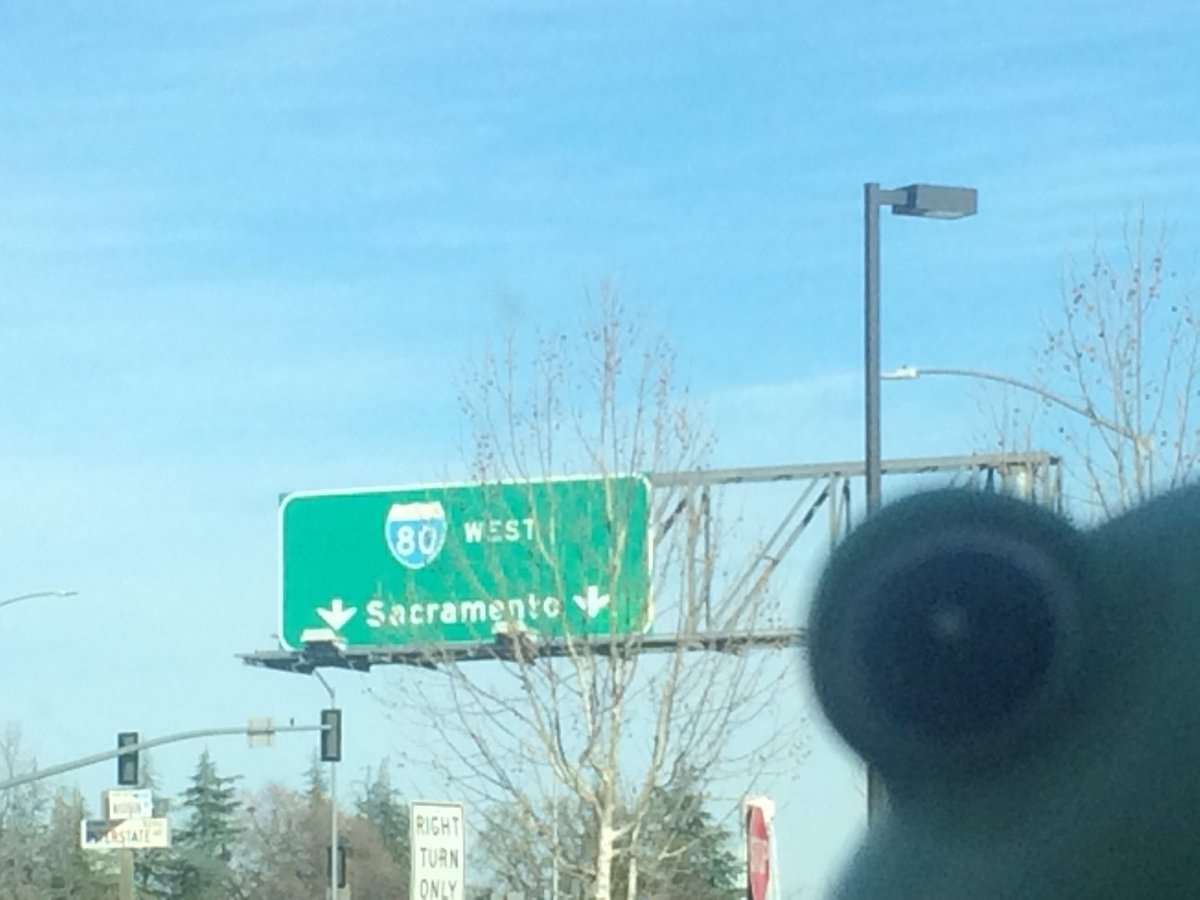 toddlarowe's tweet photo. Yay! RT @TurtleTyme713: #thetravelingturtle & #thetoddlets are on their way back to @toddlarowe https://t.co/mWKCFQUZWy