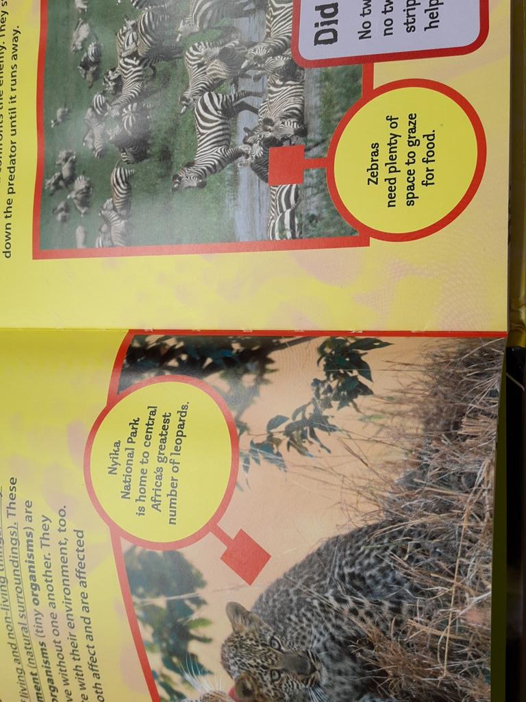 Animals, plants, micro organisms are interdependent. Interacting constantly. Relating with their environmen. 2/10