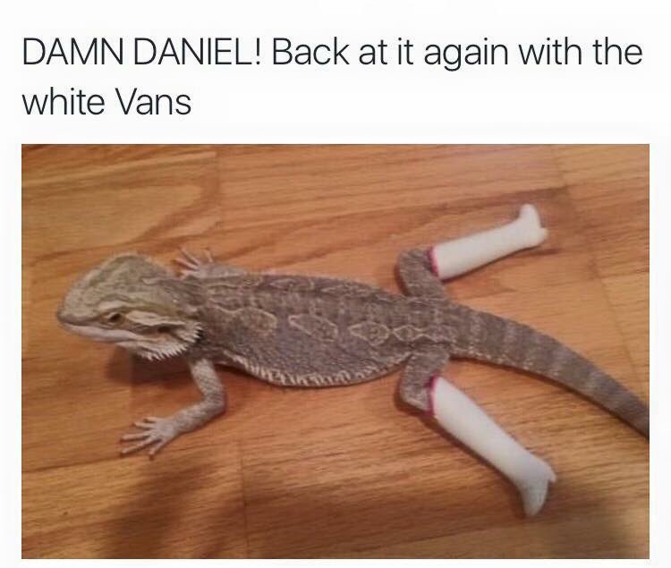 georgelucock99's tweet photo. These are funny 😂😂 https://t.co/B4OEsTx87Z