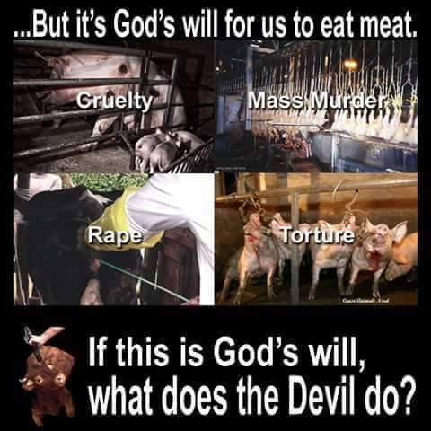 Not my God #animecrossroads2016 #AnimalFreedomFighters #GoVeg #ExposeLies #RealHorrorHouses