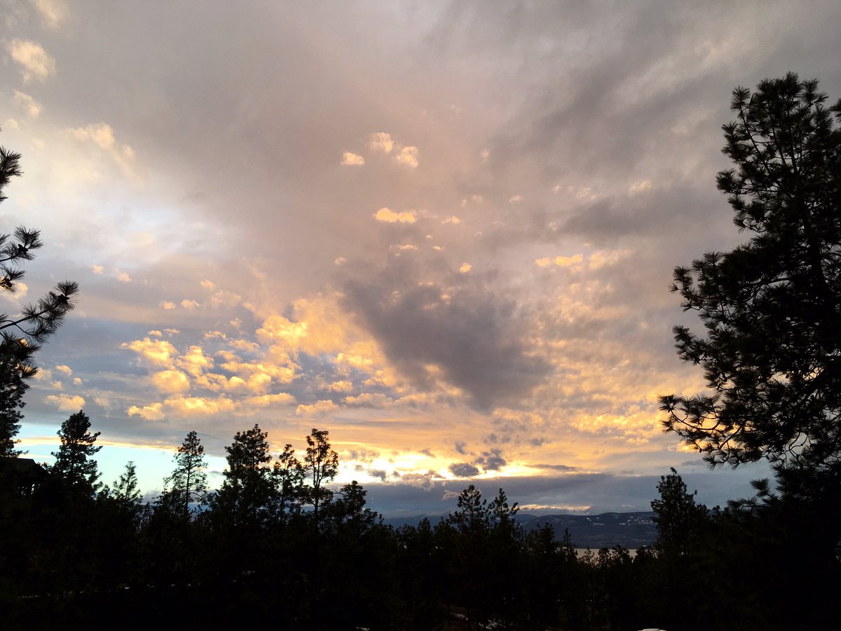 KittyPlays's tweet image. I've got angels all around me they keep me surrounded