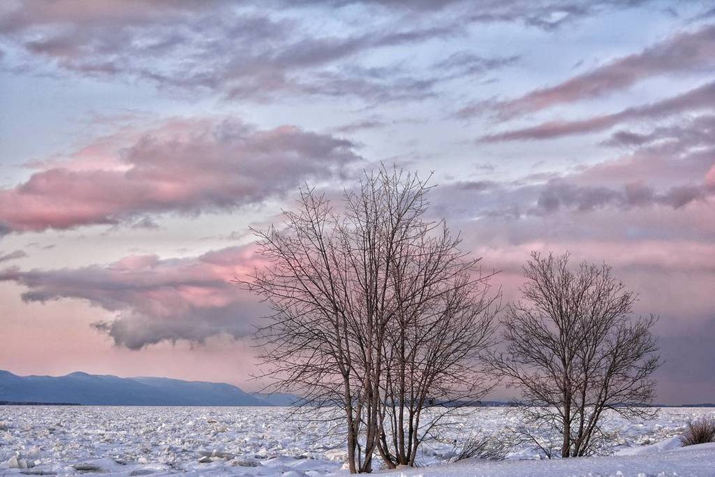 touteparpillee's tweet photo. L'heure rose à Berthier-sur-Mer QC.  #ChaudièreAppalaches #quebecoriginal #thecanadiancollective #icu_canada #ipull… https://t.co/oZxCXCDhQp