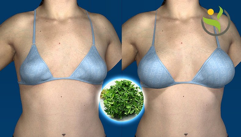 healthylivingbox.com/this-plant-wil…