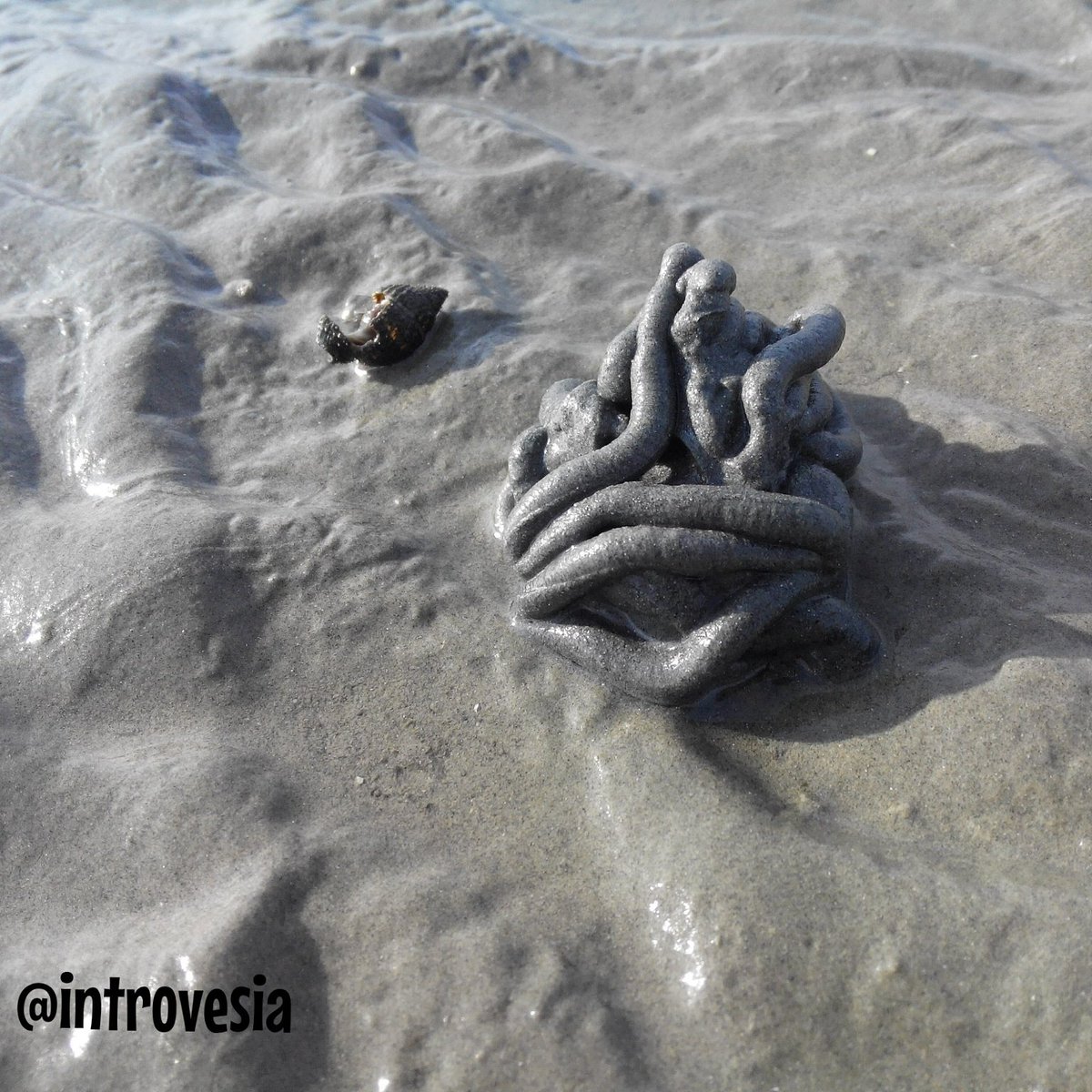 Introvesia's tweet photo. Who made this? 😂😂😂

#nature #beach #photography #sand #introvert #photooftheday #unknown #natureart #unique https://t.co/enPgURy8zK