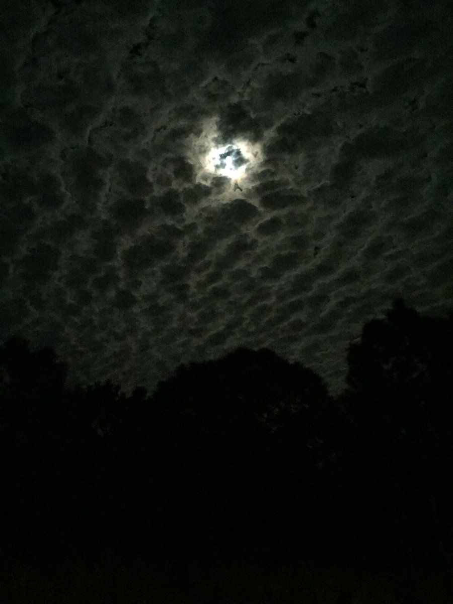 JoelHBaum's tweet image. Moonrise tonight in Viera @EricBurrisWESH @TMainolfiWESH @amysweezey #WESH2Storms