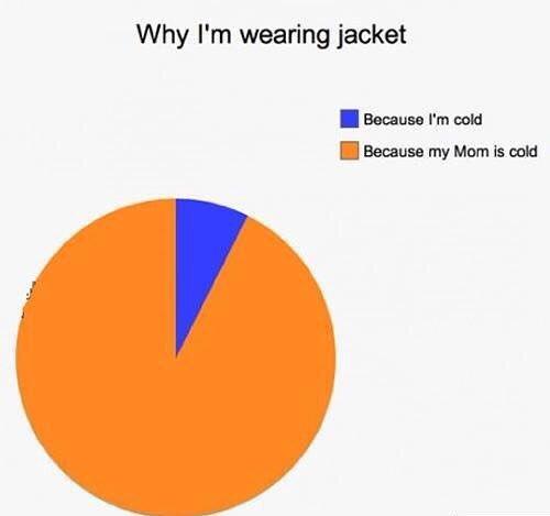 StumblerVideos's tweet image. Why Im wearing a jacket