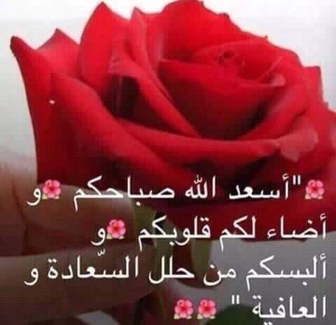 Ibn_khldoon's tweet photo. https://t.co/m78TR0lcBE