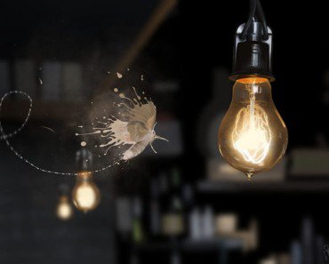 Fitness Motivation tweet media