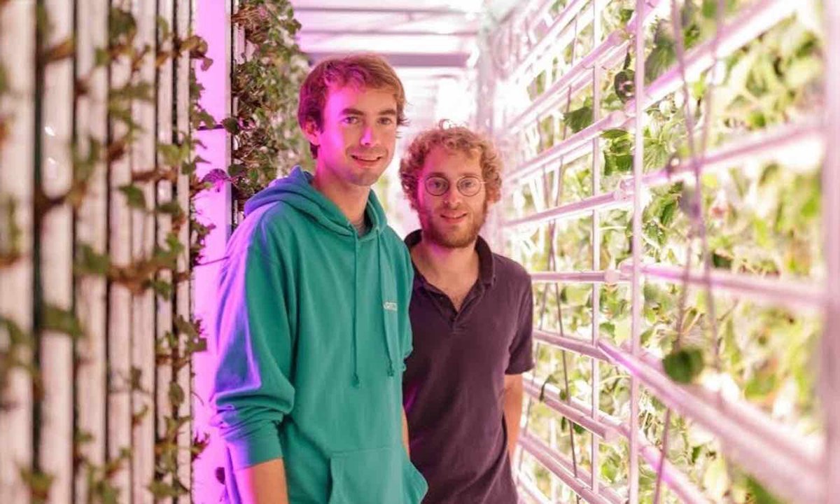 foodtank's tweet photo. French #startup grows fresh strawberries in recycled shipping containers: https://t.co/TpBK1jiEYn @_agricool https://t.co/IPY76jOC6i