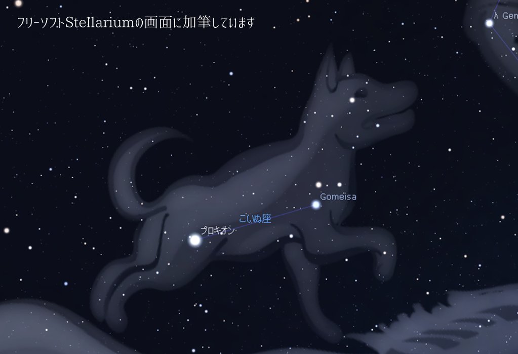 星を見上げる長谷部(修行中につき停止中) on Twitter