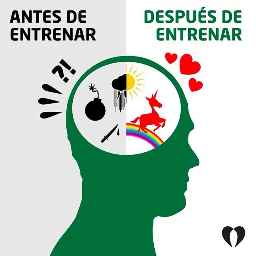 sanfranciscogy1's tweet photo. Entrenas? Buena semana a tod@as😉💪 https://t.co/SmivibJU5y