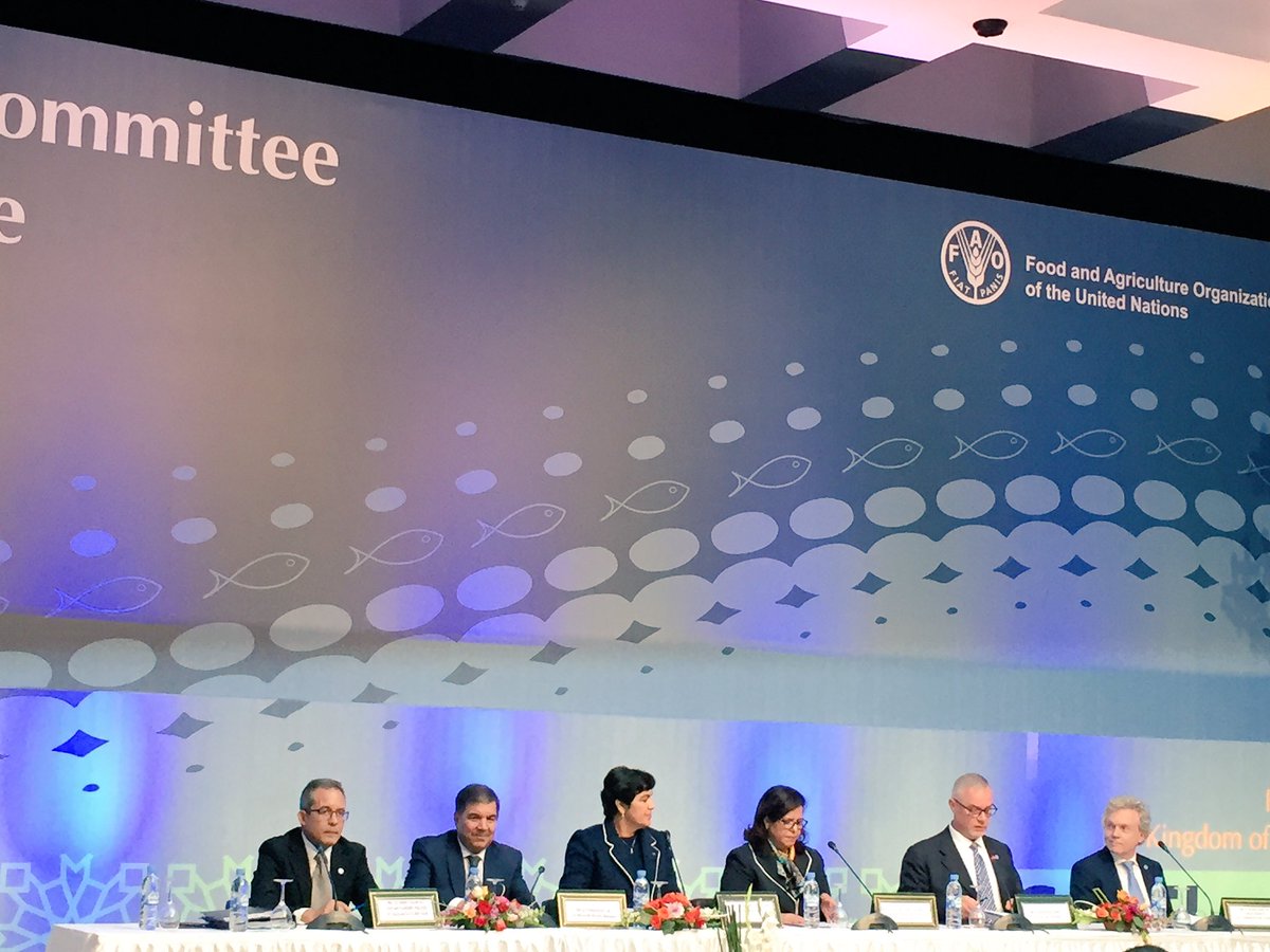 #FAO COFI Sub-Committee on fish Trade opened this morning. #Fish represents $130bn #trade.  #eutrade