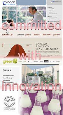 PilotABP's tweet photo. Our SMEs partners are strongly committed with innovation @GreeneWaste #Tydockpharma #AMEK #CARNAD https://t.co/NVXDJdc98e