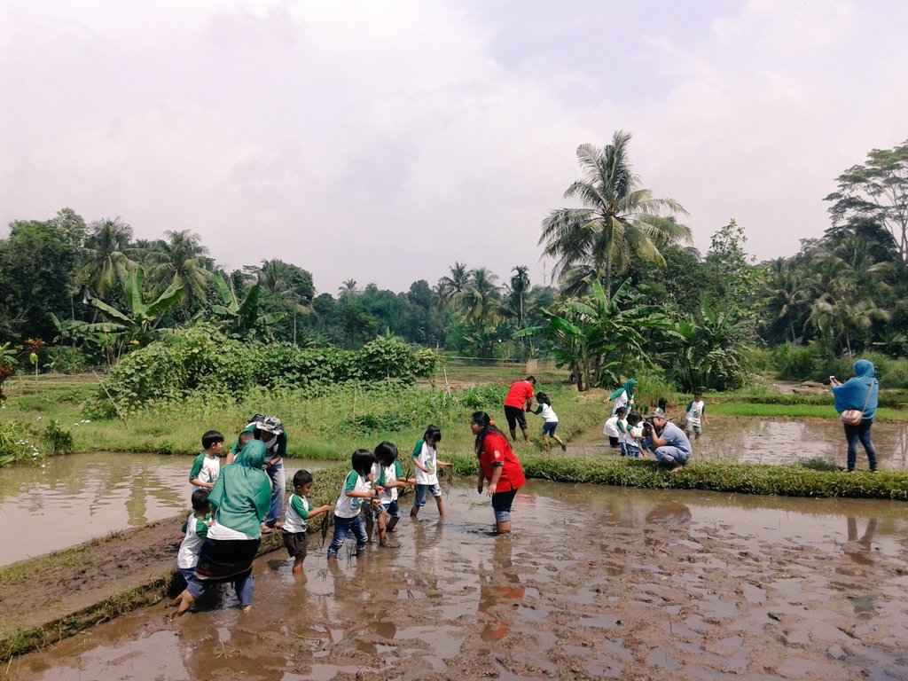cinangneng's tweet photo. belajar menanam padi field trip education for kids - Kb Tki Al Syukro at #cinangneng https://t.co/iAbvOUytPu