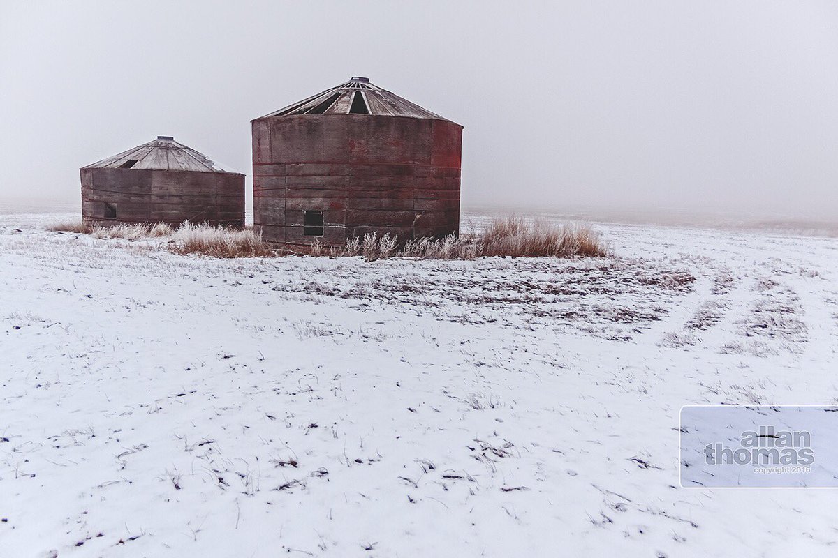 AllanThomas2015's tweet photo. Fog makes a beautifully designed stage for me to capture our worldly possessions. #allanthomas2015 #alberta #canada https://t.co/YB3OH4XrUA